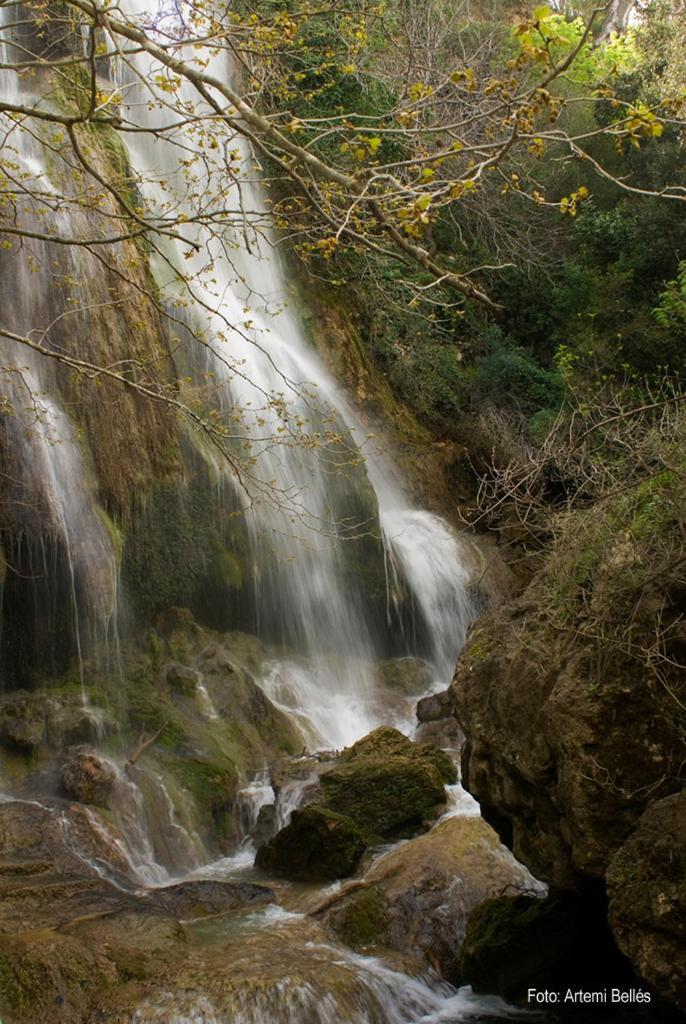 Can Rique Villa Las Escaulas Dış mekan fotoğraf